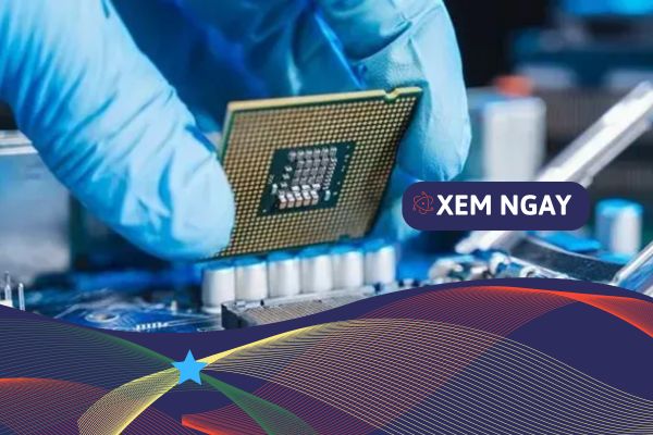 C C Ng Nh Hot Trong T Ng Lai Ng C C N Nh C