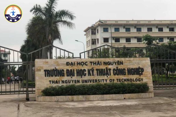 cac truong dai hoc day online