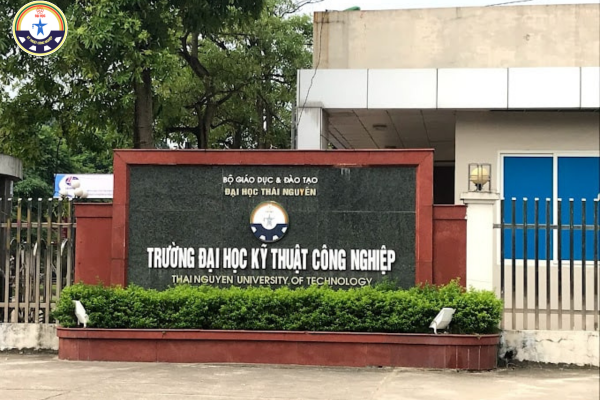 cac nganh dai hoc hot