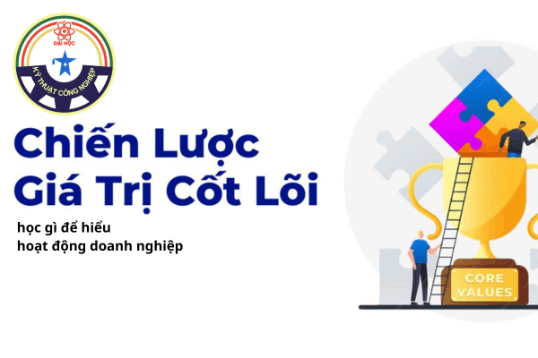 học gì để hiểu hoạt động doanh nghiệp