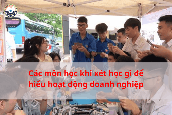 học gì để hiểu hoạt động doanh nghiệp